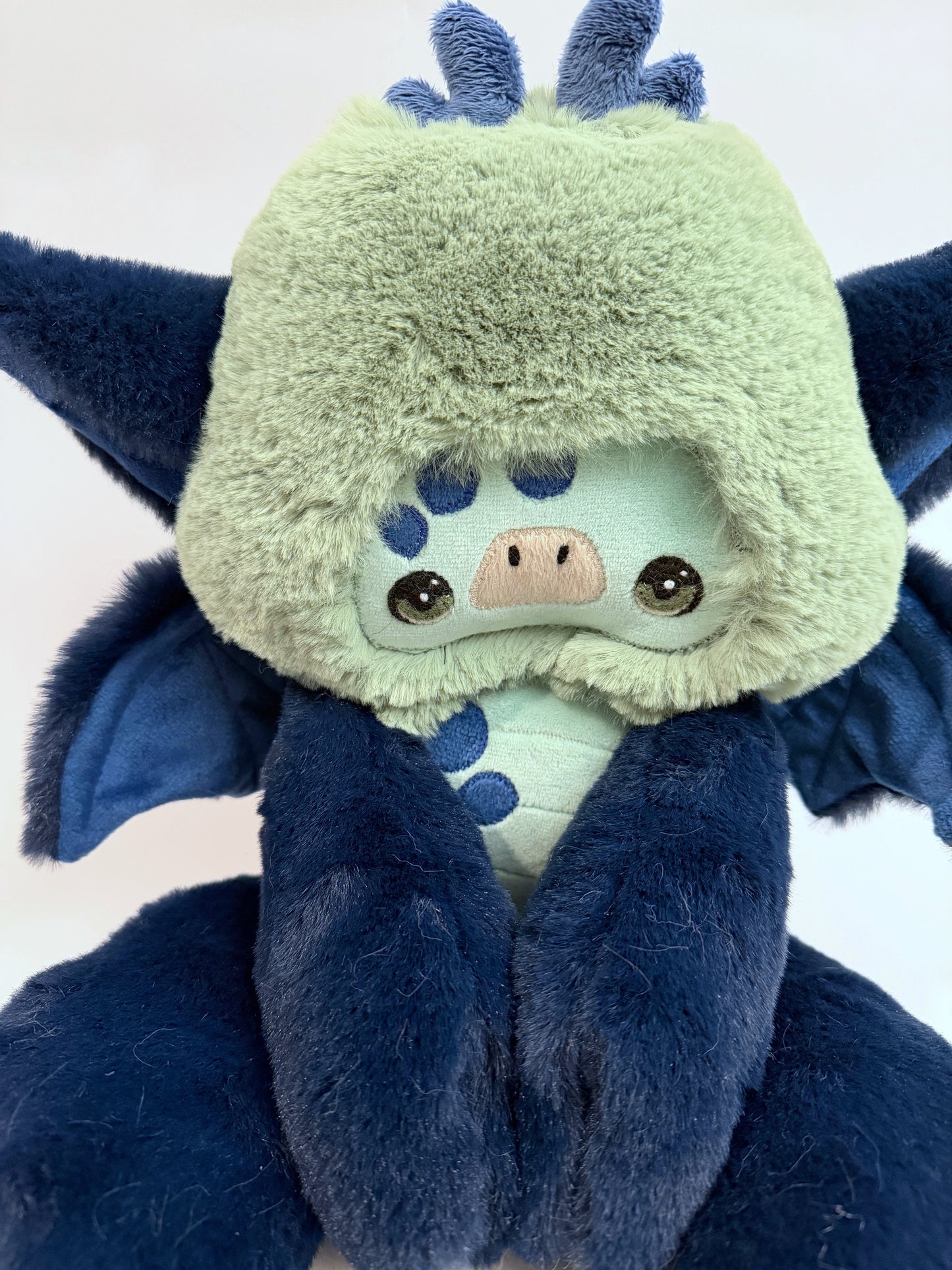 Dragon#06!! 🐉 RegRagged Collection (Feb. 28, 2026) | Exclusive 🤩