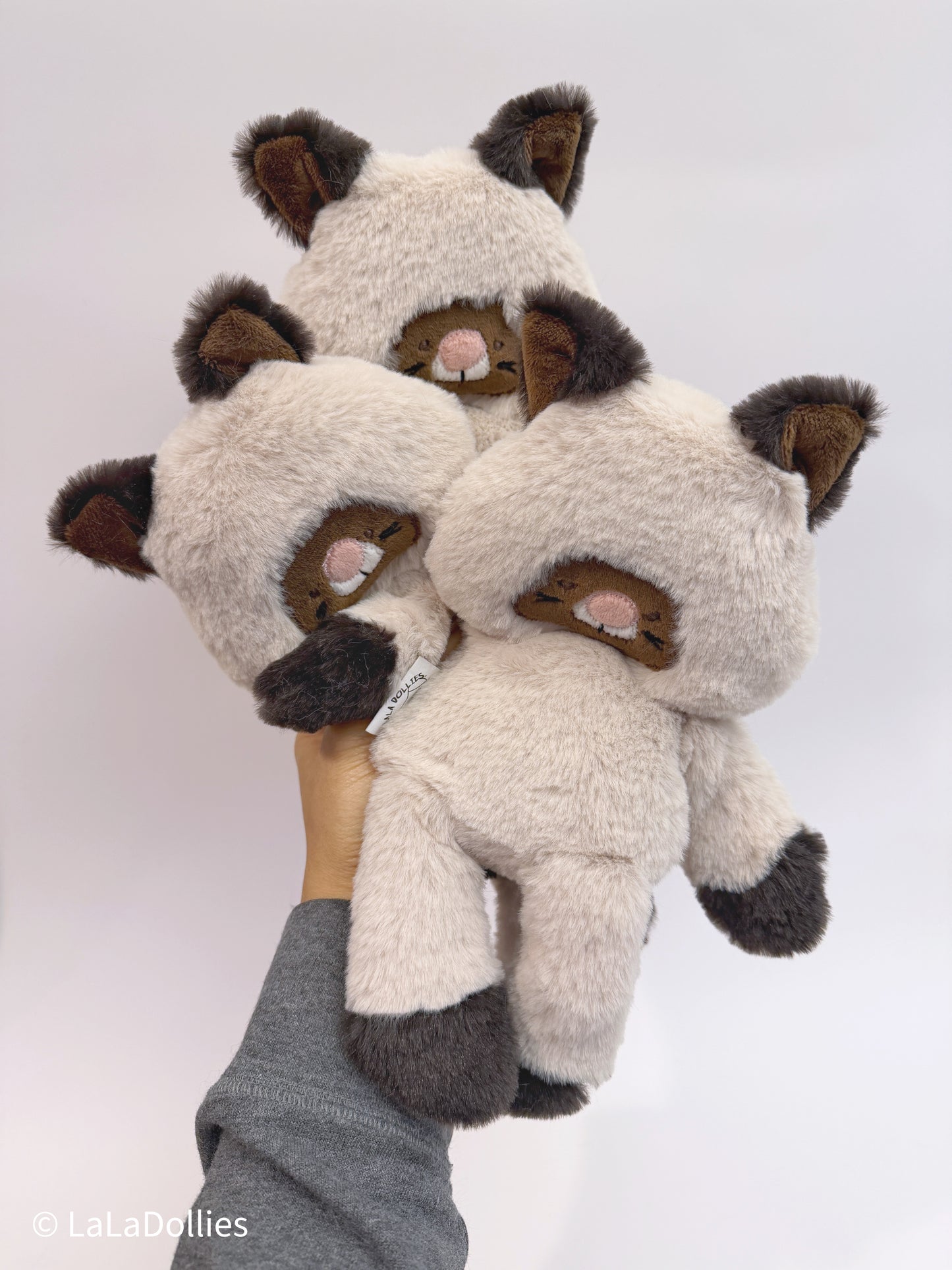 New | mini+ Kitty, each.  #29 | Limited, Exclusive 🤯 🤩