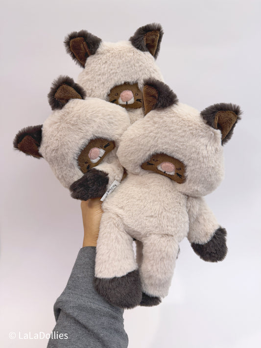 New | mini+ Kitty, each.  #29 | Limited, Exclusive 🤯 🤩