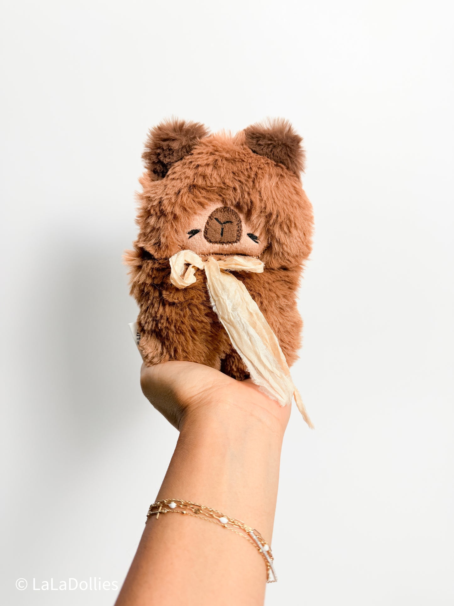 🤯  Mini Capybara, Mocha, Each (07.2026) | Limited | Exclusive 🤩 #01